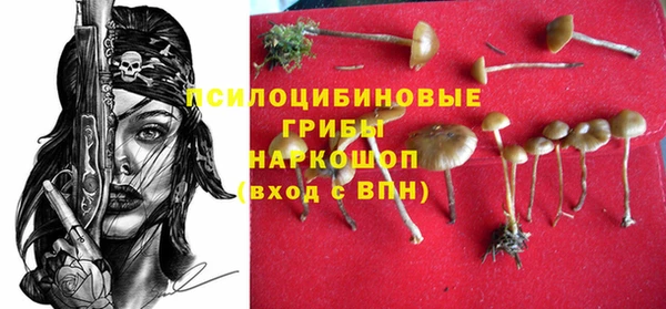 гидропоника Алзамай